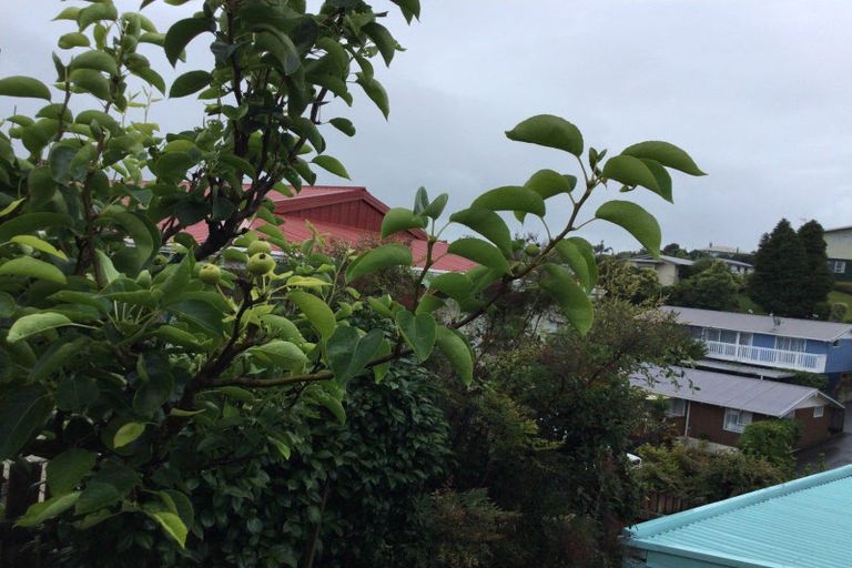 Photo of property in 104 Hays Place, Thames, 3500