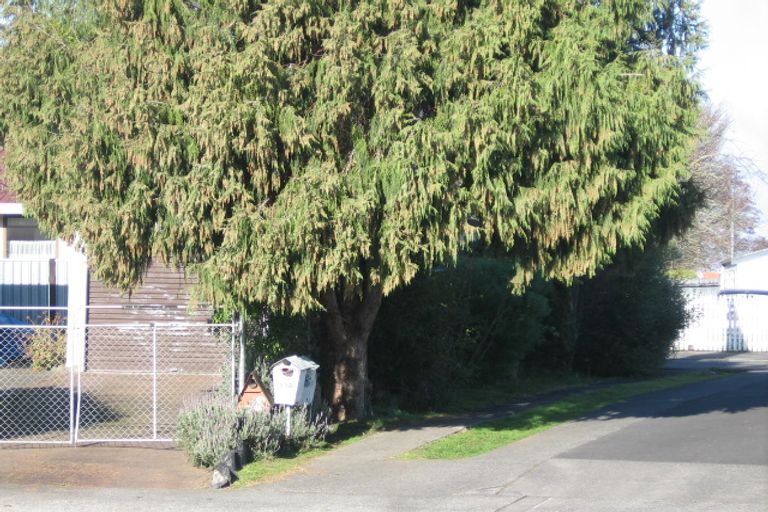 Photo of property in 11a Sheila Place, Dinsdale, Hamilton, 3204