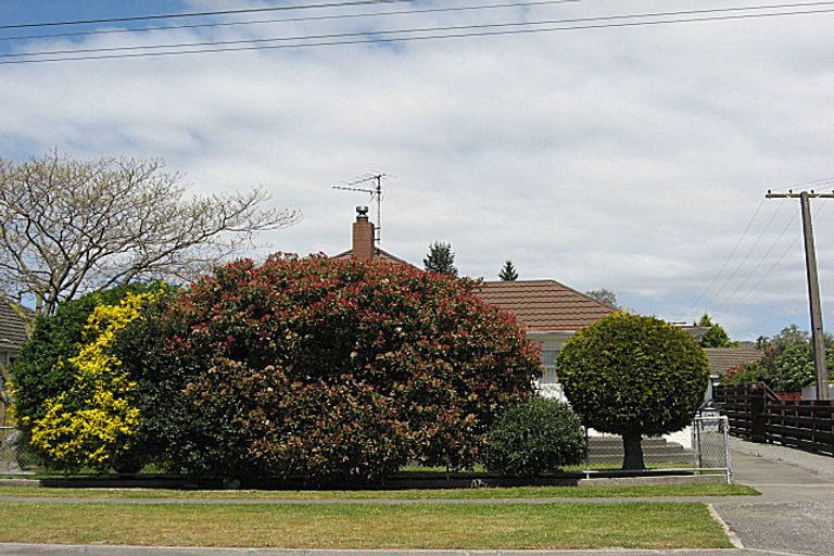 Photo of property in 44 Litchfield Street, Redwoodtown, Blenheim, 7201