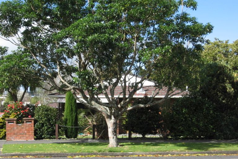 Photo of property in 108b Fairway Drive, Te Kamo, Whangarei, 0112