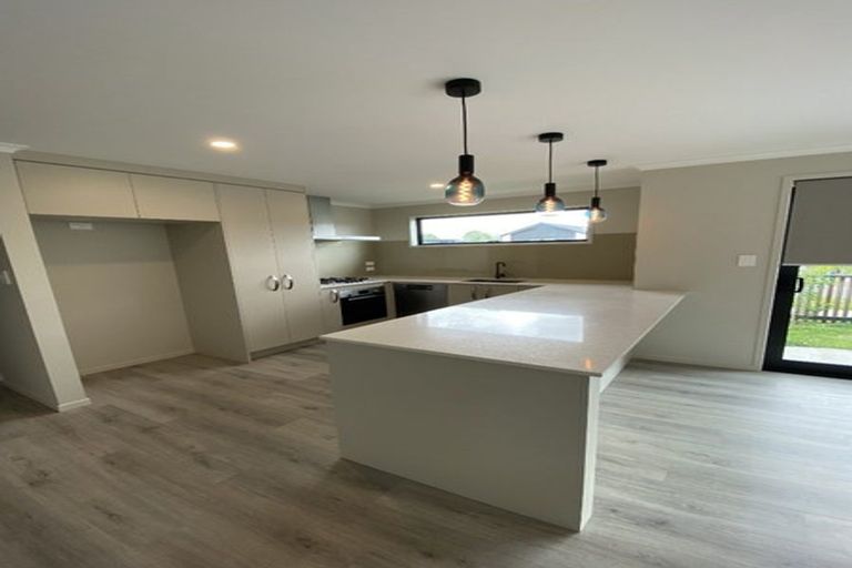 Photo of property in 52 Hammick Crescent, Pyes Pa, 3112