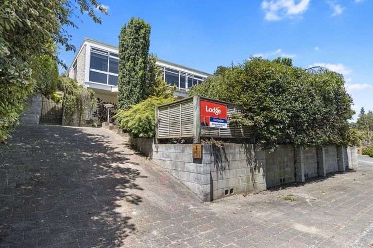 Photo of property in 1 Dillon Place, Hamilton East, Hamilton, 3216