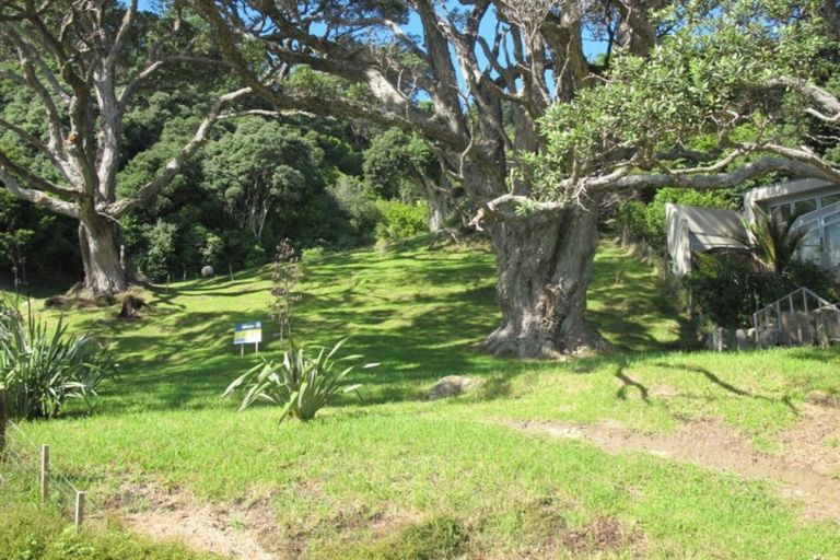 Photo of property in 130 Tangiora Avenue, Whangapoua, Coromandel, 3582