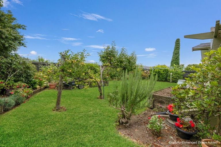 Photo of property in 10 Heron Crescent, Katikati, 3129