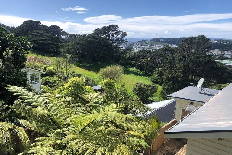 Photo of property in 19 Priscilla Crescent, Mornington, Wellington, 6021