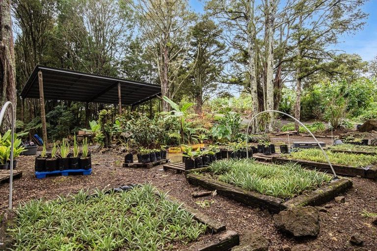 Photo of property in 304 Mangakahia Road, Maungatapere, Whangarei, 0179