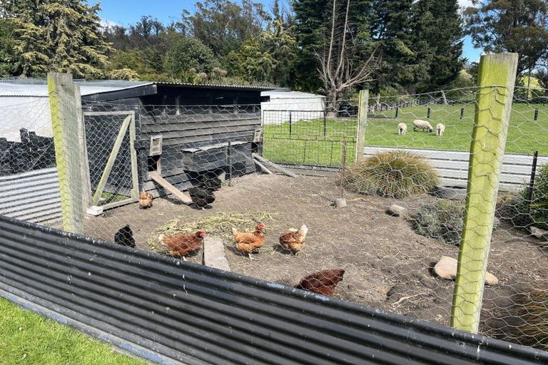 Photo of property in 249 Pukeuri-oamaru Road, Pukeuri, Oamaru, 9493