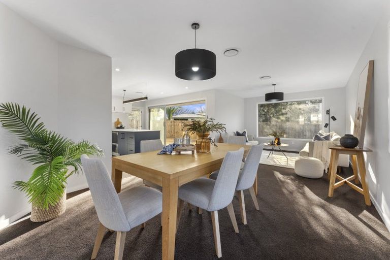 Photo of property in 163a Denbigh Street, Feilding, 4702