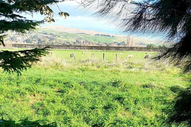 Photo of property in 10 Upham Street, Havelock North, 4130