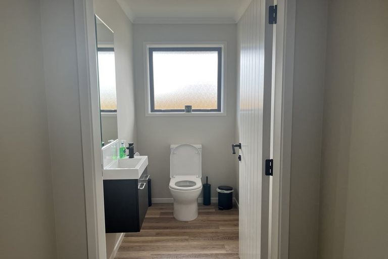 Photo of property in 77b Fairfield Road, Levin, 5510