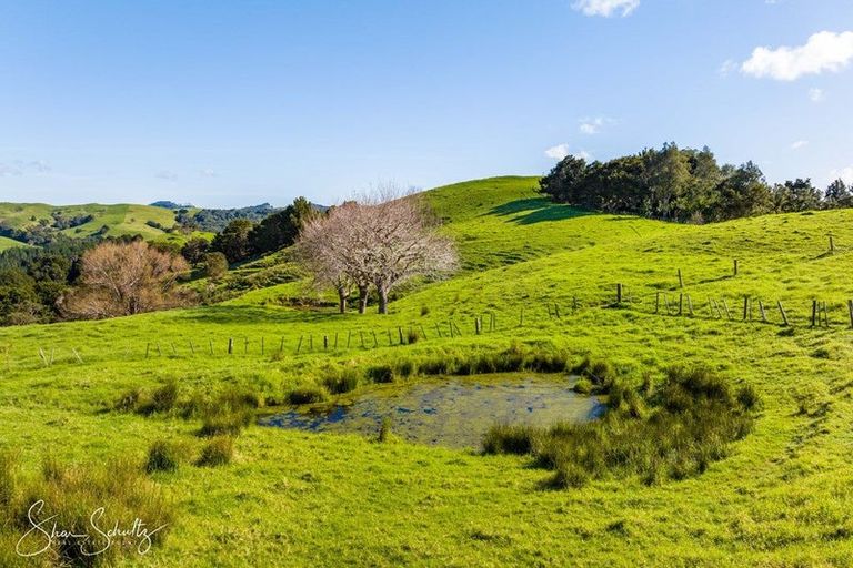 Photo of property in 133 Wearmouth Road, Paparoa, 0571