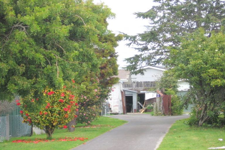 Photo of property in 58a Links Avenue, Mount Maunganui, 3116