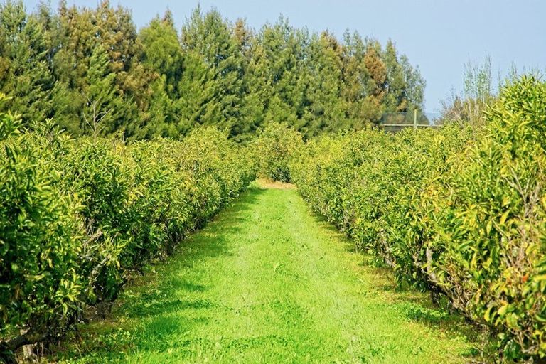 Photo of property in 19 Pilmer Road, Makauri, Gisborne, 4071