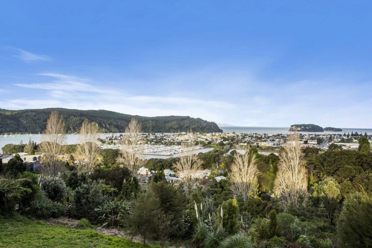Photo of property in 113 Te Pamahue Drive, Whangamata, 3620