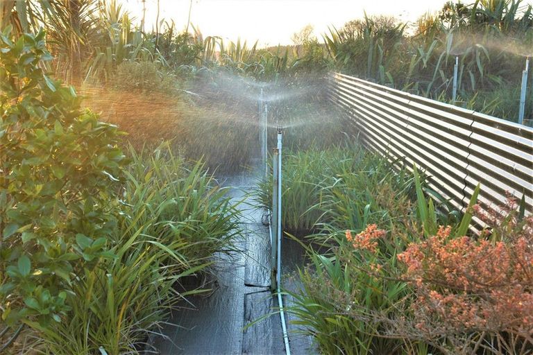 Photo of property in 1246 Babylon Coast Road, Omamari, Dargaville, 0373