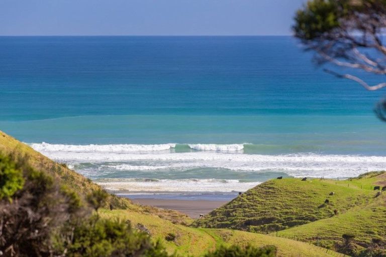 Photo of property in 1580 Whaanga Road, Raglan, 3296