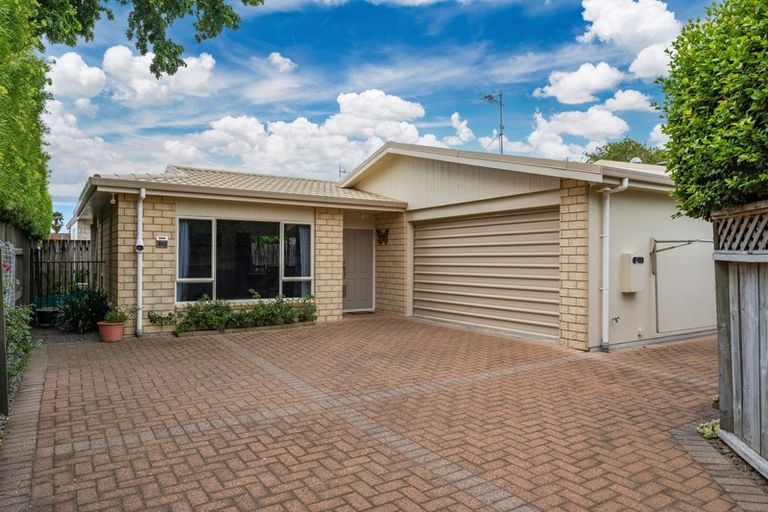 Photo of property in 81b Fourteenth Avenue, Tauranga South, Tauranga, 3112
