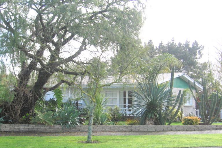 Photo of property in 91 Fitzroy Avenue, Fitzroy, Hamilton, 3206