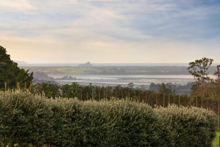 Photo of property in 423b Youngson Road, Whakamarama, Tauranga, 3179