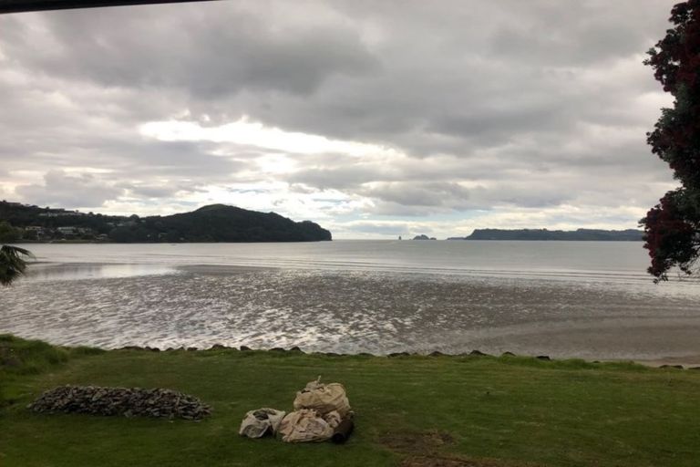 Photo of property in 141 Buffalo Beach Sh25 Road, Whitianga, 3510