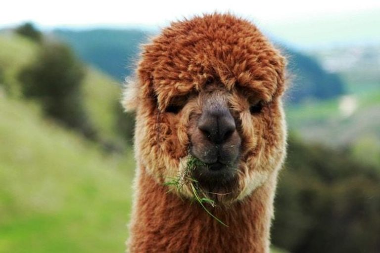 Photo of property in 204 Eskridge Drive, Eskdale, Napier, 4182