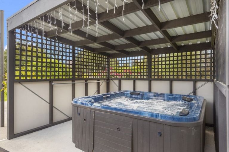 Photo of property in 19 Holford Place, Huntington, Hamilton, 3210