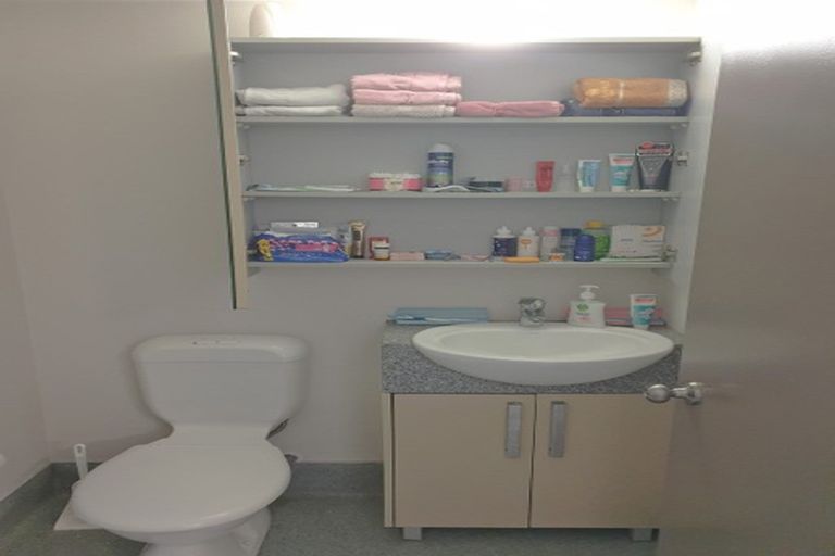 Photo of property in Dual Apartments, 108/142 Vivian Street, Te Aro, Wellington, 6011