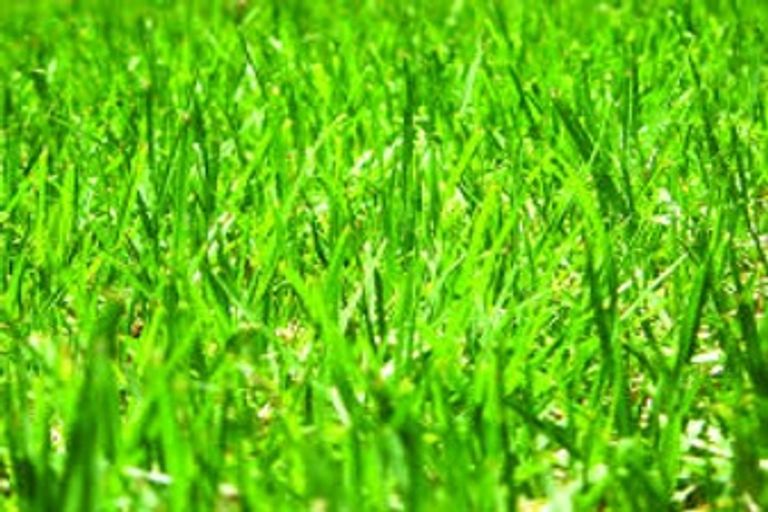 Photo of property in 39 Glencairn Road, Twizel, 7901