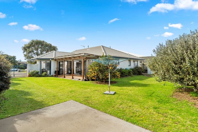 Photo of property in 170 Gloucester Road, Mount Maunganui, 3116