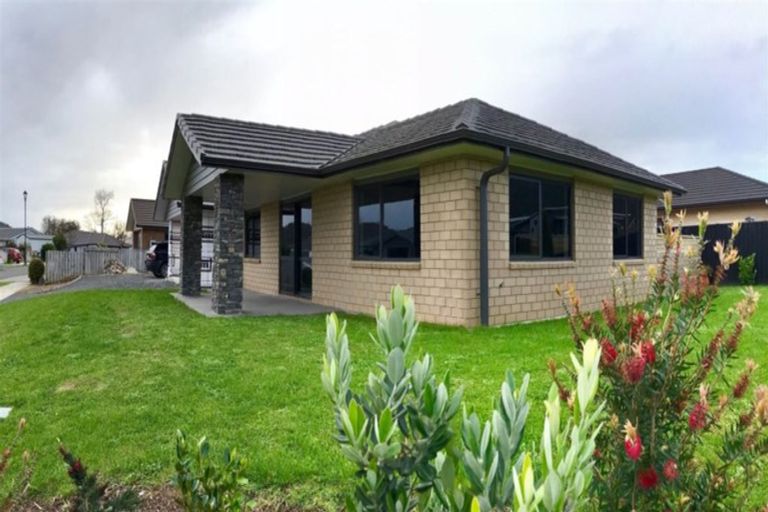 Photo of property in 24 Mary-ellen Place, Coromandel, 3506