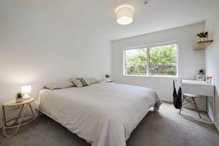 Photo of property in 75b Campbell Road, Mount Maunganui, 3116