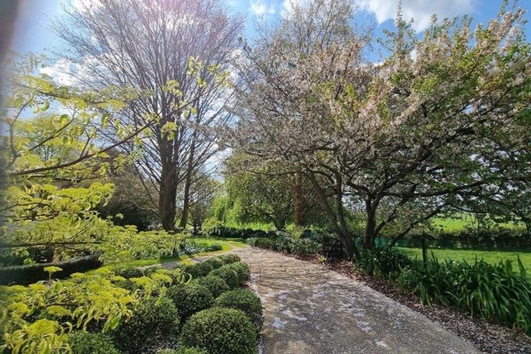 Photo of property in 590 Puahue Road, Rotoorangi, Te Awamutu, 3879