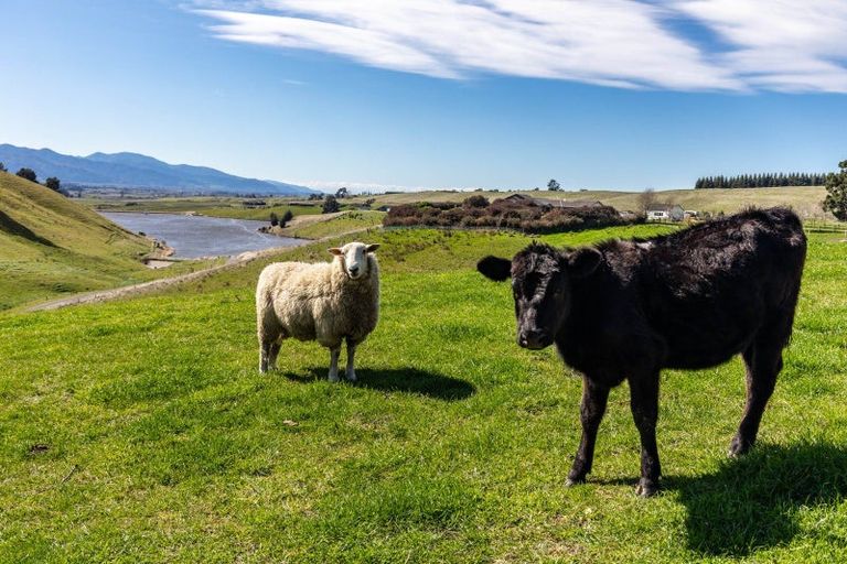 Photo of property in 466 Delta Lake Heights, Renwick, 7271