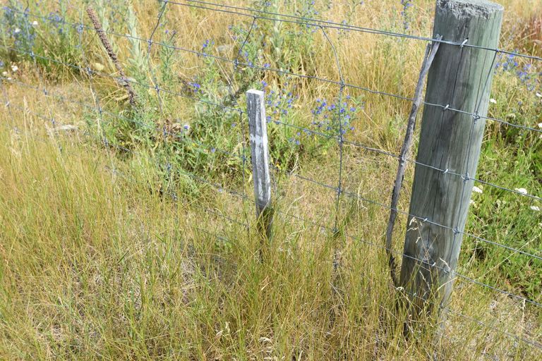 Photo of property in 6 Cirrus Place, Omarama, 9412