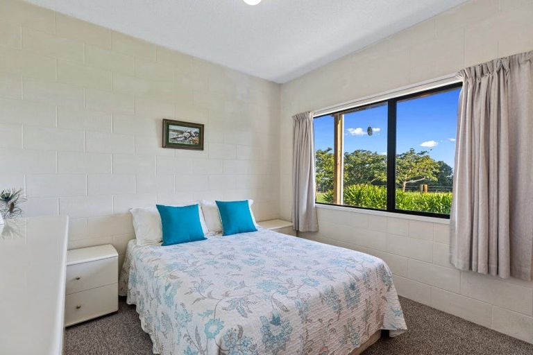 Photo of property in 342 Youngson Road, Whakamarama, Tauranga, 3179