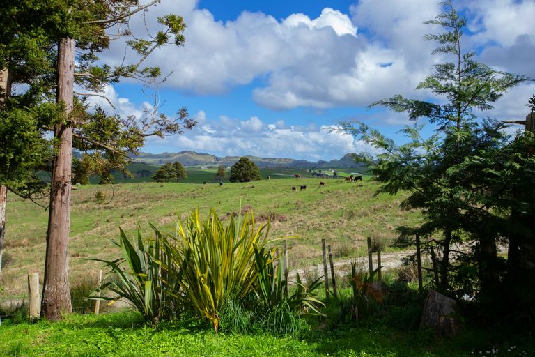 Photo of property in 60 Davies Road, Wellsford, 0900