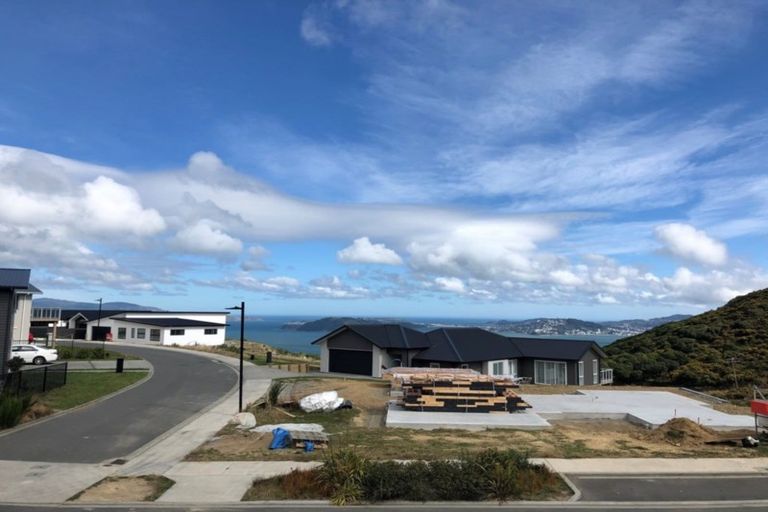 Photo of property in 36 Domett Street, Newlands, Wellington, 6037