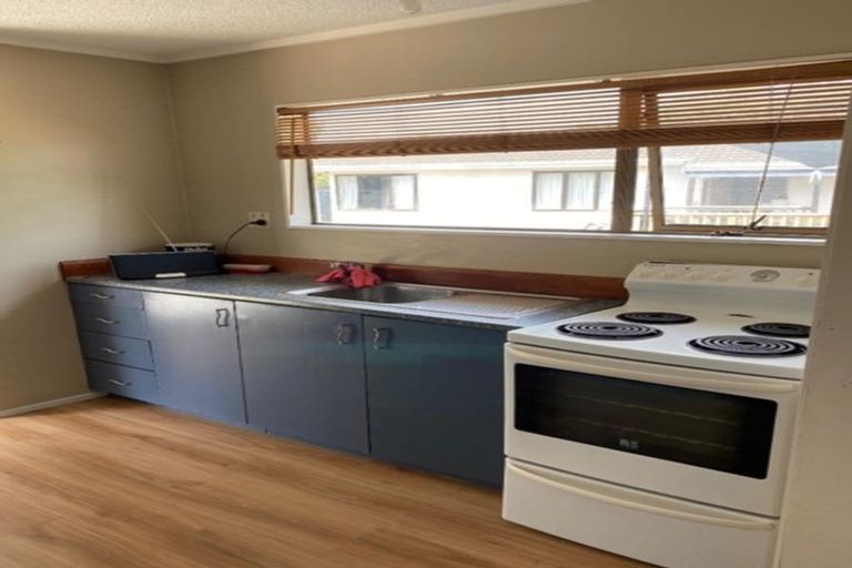 Photo of property in 13 Riley Place, Fitzroy, Hamilton, 3206