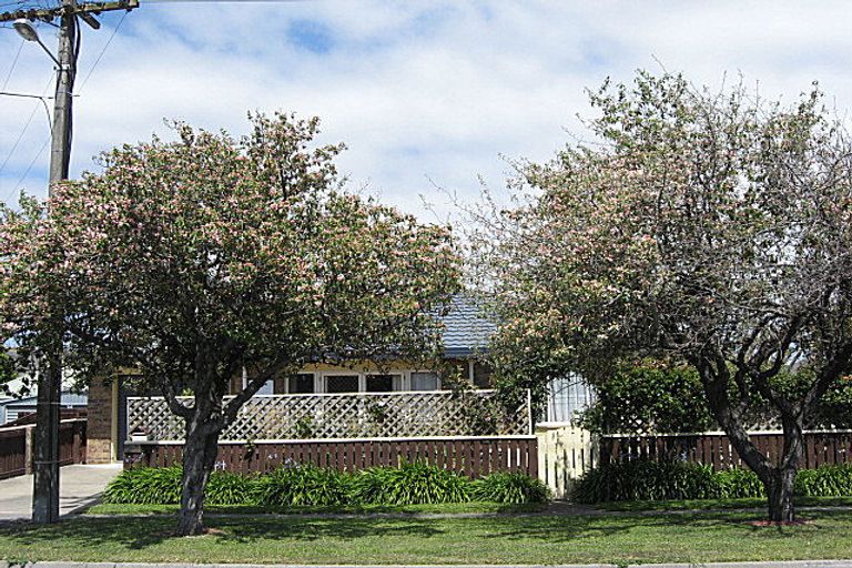 Photo of property in 36 Litchfield Street, Redwoodtown, Blenheim, 7201