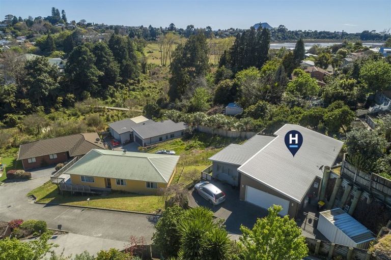 Photo of property in 5k Winiata Street, Brookfield, Tauranga, 3110