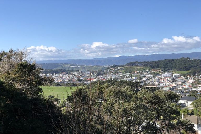 Photo of property in 42 Farnham Street, Mornington, Wellington, 6021