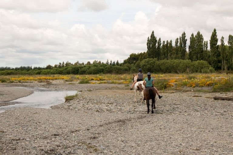Photo of property in 2614 South Eyre Road, Eyrewell, Rangiora, 7476