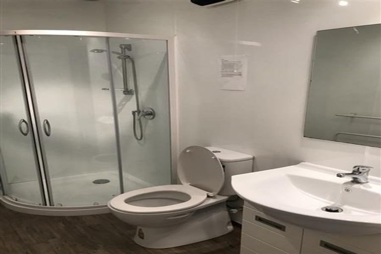Photo of property in 58 Royal Terrace, Dunedin Central, Dunedin, 9016