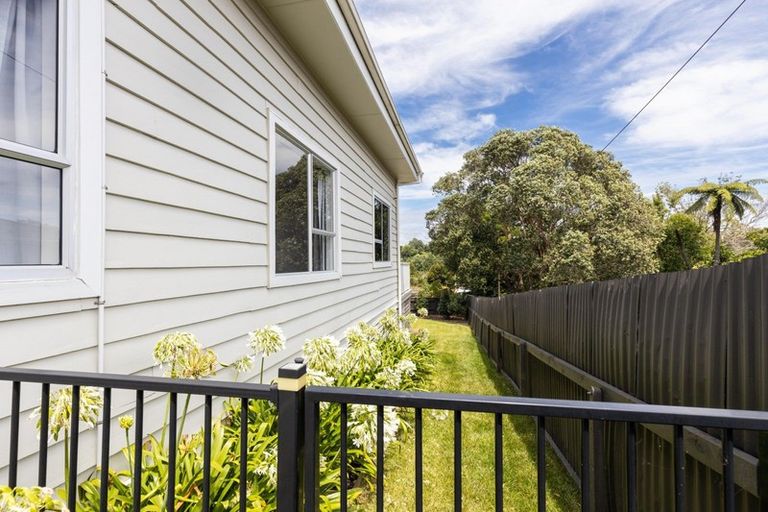Photo of property in 39 Essex Street, Vogeltown, New Plymouth, 4310