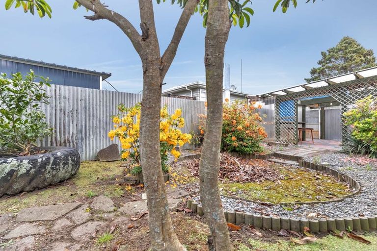 Photo of property in 58 Morvern Crescent, Tokoroa, 3420