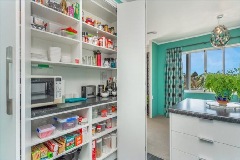 Photo of property in 113 Amanda Avenue, Dinsdale, Hamilton, 3204