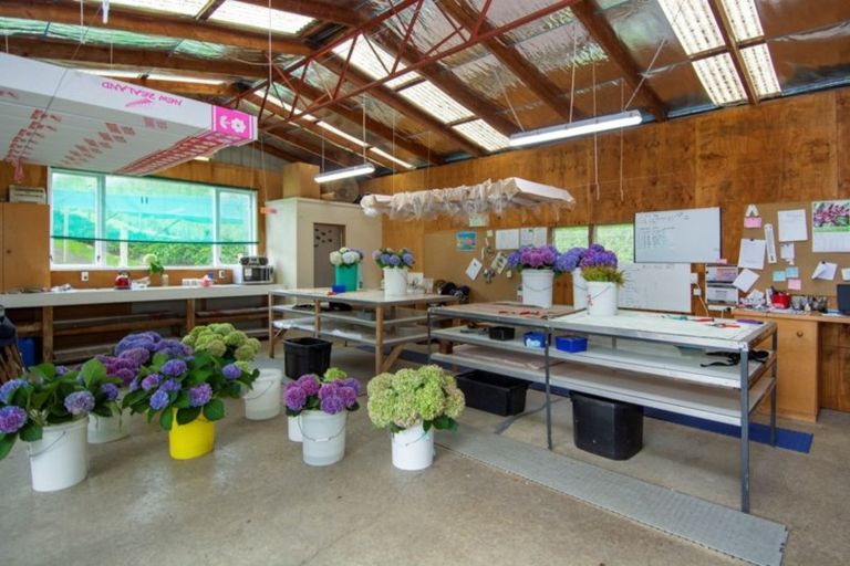 Photo of property in 261 Pahoia Road, Whakamarama, Tauranga, 3172