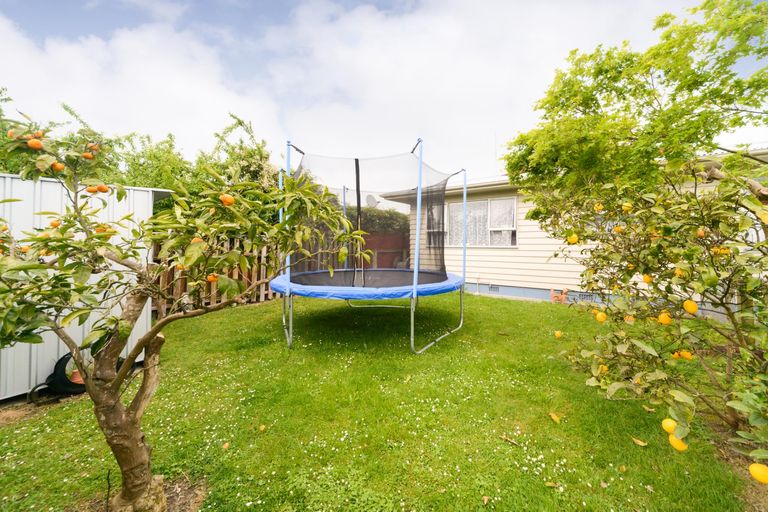 Photo of property in 46a Maxwells Line, Awapuni, Palmerston North, 4412