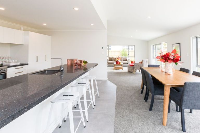 Photo of property in 41 Karina Terrace, Roslyn, Palmerston North, 4414