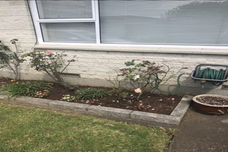 Photo of property in 466b Otumoetai Road, Otumoetai, Tauranga, 3110